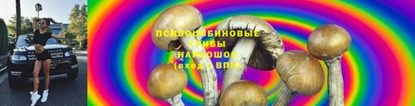 spice Балабаново